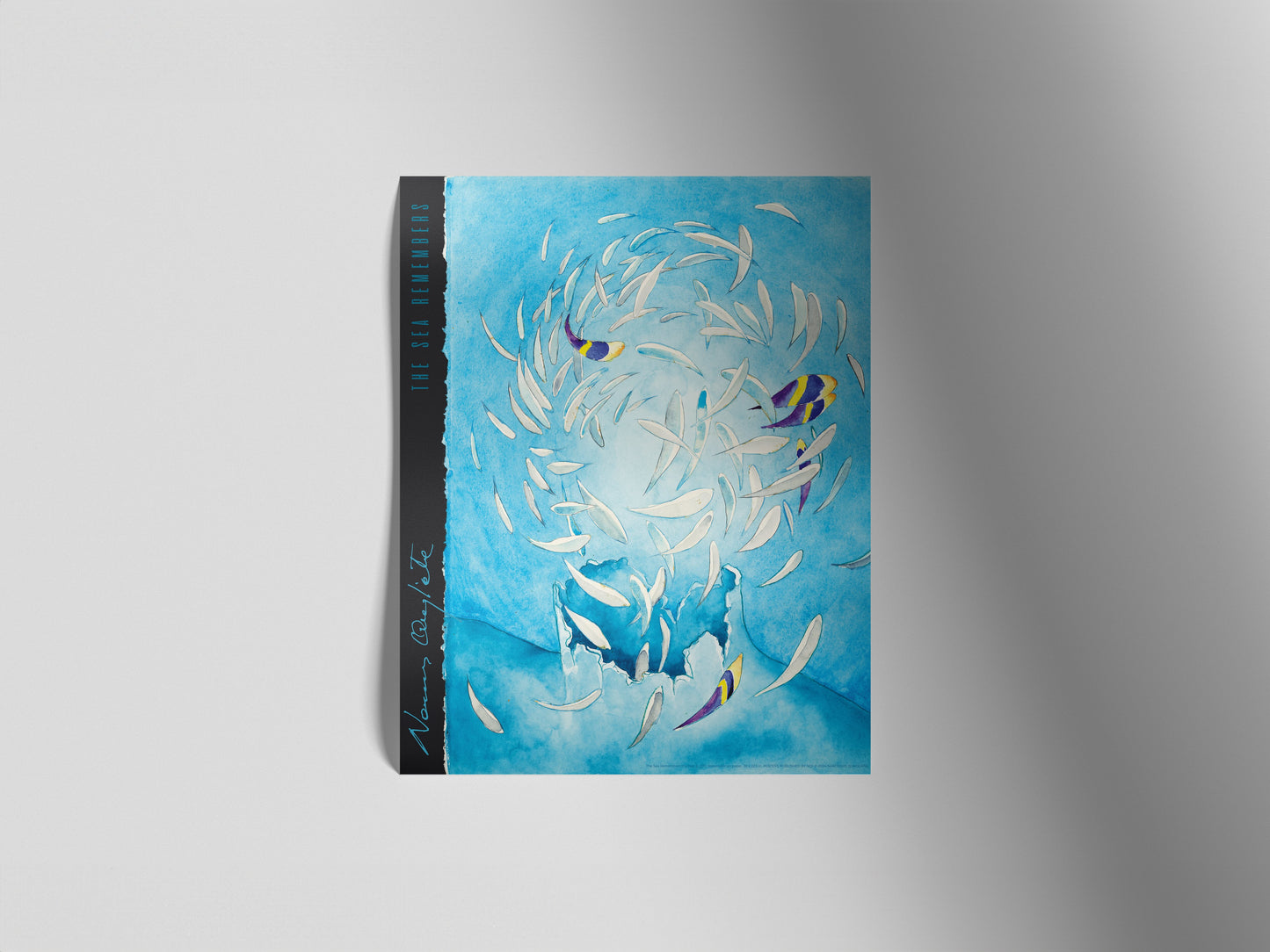 4 Poster Pack