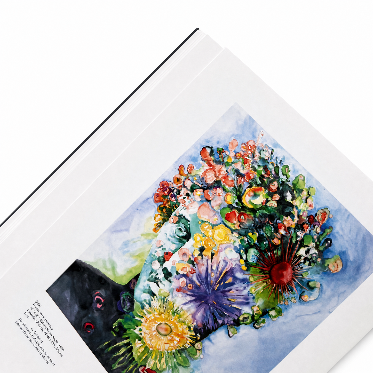 ARCHETYPES AND VISIONS IN GLASS AND LIGHT